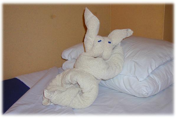 Reunion-Destiny Bed Bunny-1