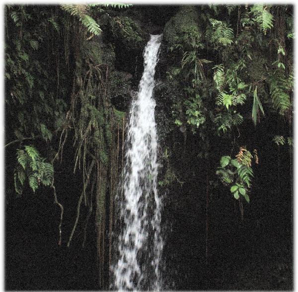 Reunion-Dominica Emerald Pool Waterfall-1