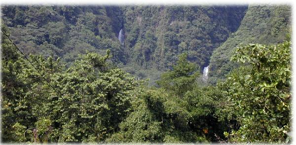 Reunion-Dominica Emerald Scenery-1