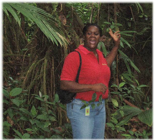 Reunion-Dominica Tour Guide-1