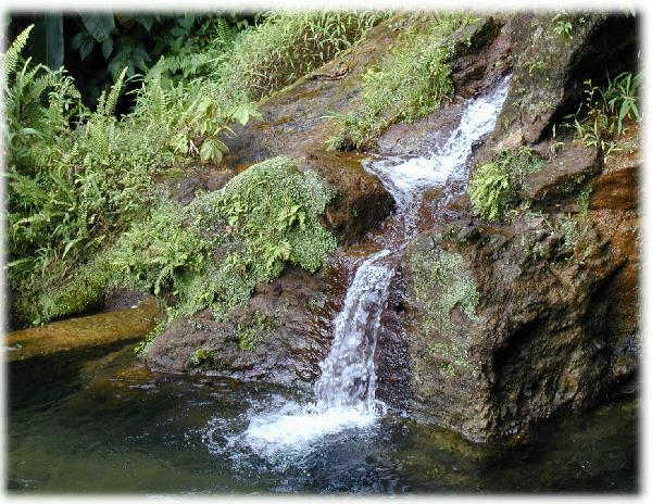 Reunion-Dominica Trafalgar Falls-1