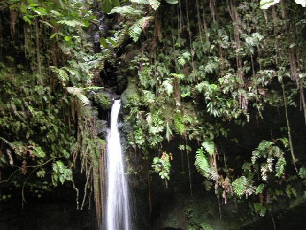 Reunion-Dominica Waterfall-1