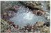 Reunion-Dominica Boiling Lake II-1