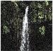 Reunion-Dominica Emerald Pool Waterfall-1