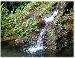 Reunion-Dominica Trafalgar Falls-1